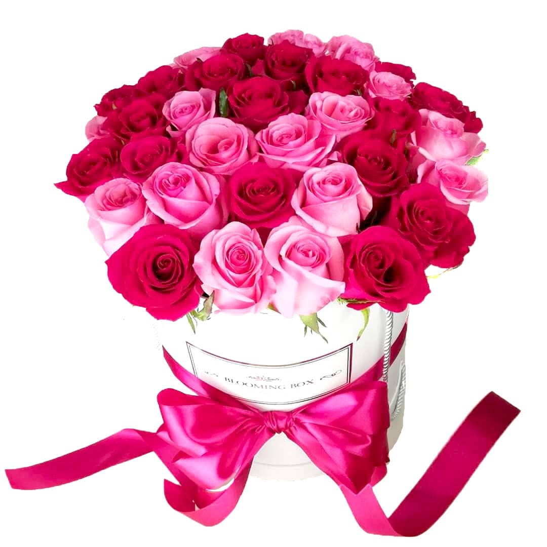 Cutie Medie Trandafiri Roz Mix