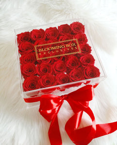 Cutie Acryl Trandafiri Rosii