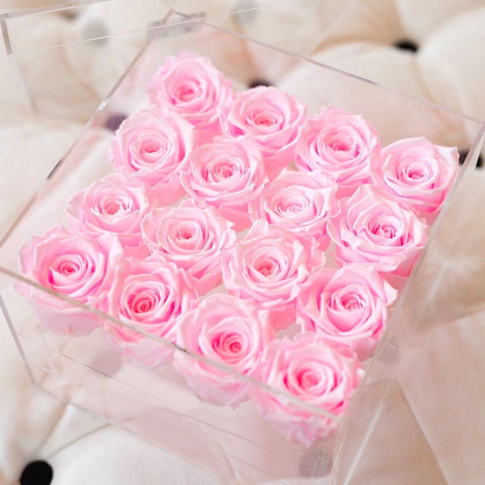 Cutie Acryl Trandafiri Roz