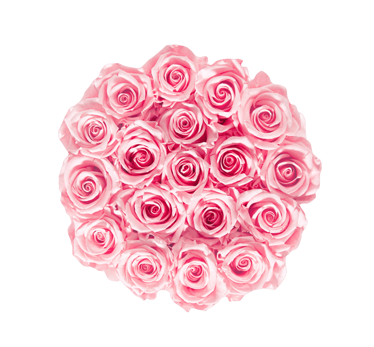 Cutie Catifea Trandafiri Criogenati Roz