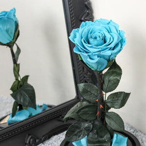 Trandafir Criogenat Turquoise
